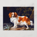 Recherche de amour espagne cartes postales Chien