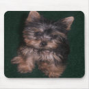 Search for yorkys mousepads Puppy