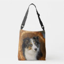 Search for collies bags Pets