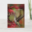 Search for hummingbird birthday cards Mom
