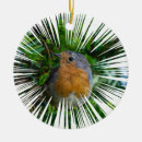 Search for robin ornaments Animals