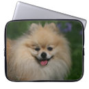 Search for shoulder cases Sitting