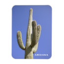 Recherche de saguaro magnets Désert