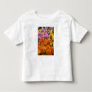 Search for dutch orange clothing Tulip