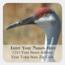 Search for crane bird stickers Wildlife