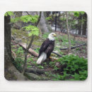 Search for american bald mousepads Birds