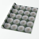 Search for dandelion gift wrap Seeds