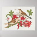 Recherche de colombe de art Botanique