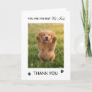 Search for animal print cards Vet tech