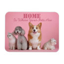 Recherche de de chaton magnets Chiot