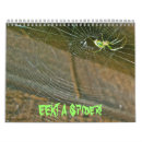 Search for spider calendars Nature