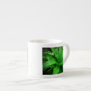 Recherche de fern tasses Forêt