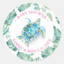 Search for ocean envelope seals Watercolor