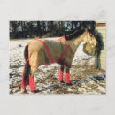 Search for blankets postcards Winter