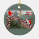 Search for mistletoe ornaments Festive