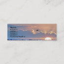 Recherche de petit oiseau cartes visite Plage