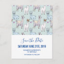 Recherche de alpaca birthday cards Mignon