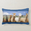 Recherche de coussin confortable coussins Pour enfants
