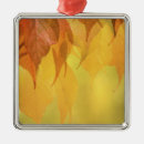 Search for make up ornaments Beauty