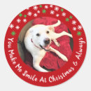 Search for circle photo stickers Pet
