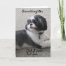 Search for adult granddaughter cards Teen