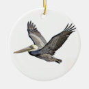Search for pelican ornaments Wings