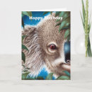 Search for koala picture cards Cute