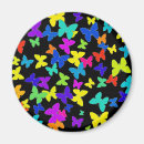 Search for butterfly pattern magnets Black