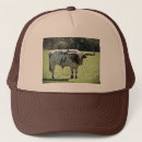 Recherche de klaxon de casquettes Taureau