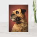 Search for border terrier cards Puppy