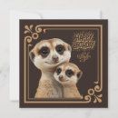Search for meerkat cards Cute meerkats