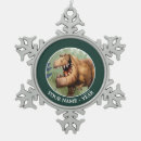 Search for the good dinosaur ornaments Ranchers