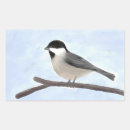 Search for chickadee stickers Black capped chickadee