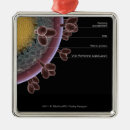 Search for virus ornaments Magnification