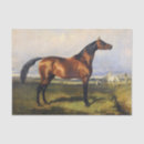 Search for paint horse tissue paper Furniture