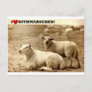 Search for schaf Animals
