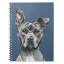 Recherche de pitbull carnets Animaux familiers