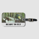 Recherche de canard de vol Oiseau