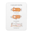 Recherche de guide magnets Chiots de corgi