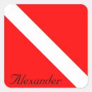 Search for divers stickers White