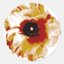 Search for ranunculus stickers Flower