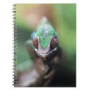 Recherche de cameleon carnets Animal