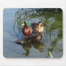 Search for wild duck mousepads Waterfowl