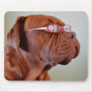 Search for eyeglasses mousepads Canine