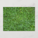 Search for mowing invitations Yard