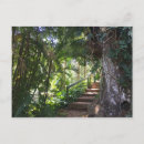 Recherche de ha ha ha cartes postales Forêt