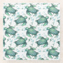 Search for sea turtle coasters Hawaii