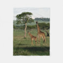 Search for calf blankets Nature