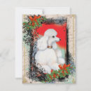 Search for poodle christmas cards Holly