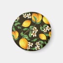 Search for lemon tree magnets Background